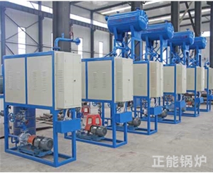 電加熱導(dǎo)熱油爐